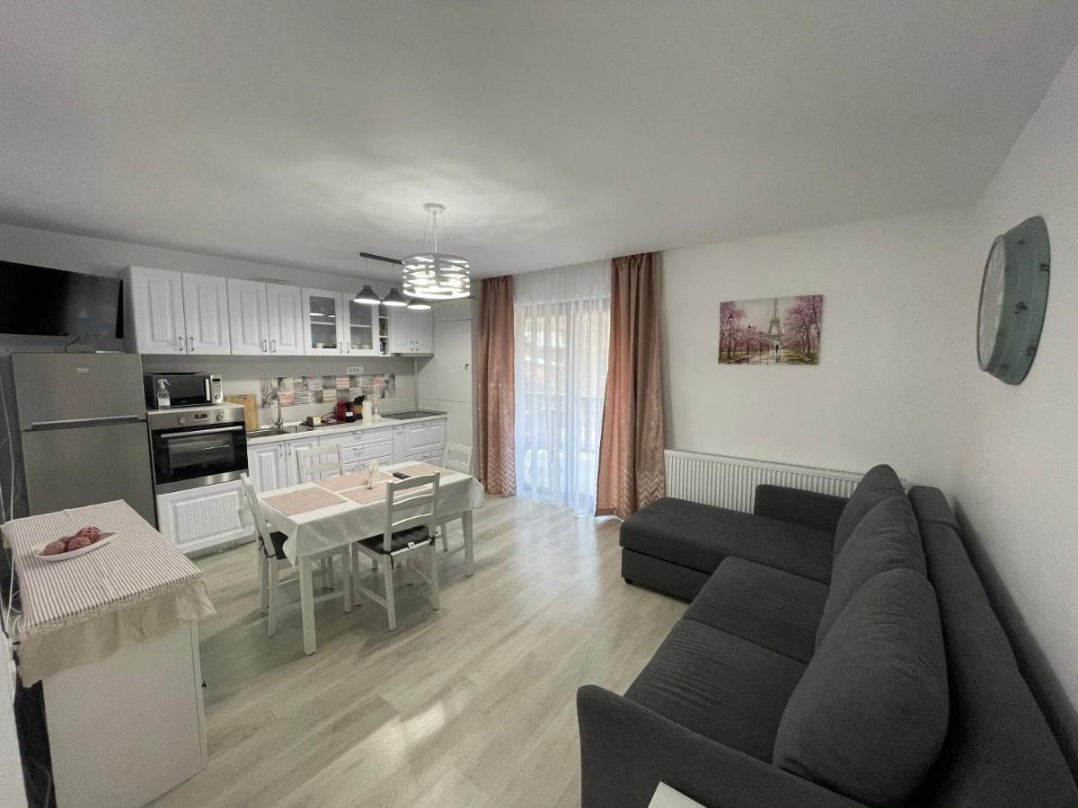 Castle Residence Apt. Eminescu Buşteni エクステリア 写真