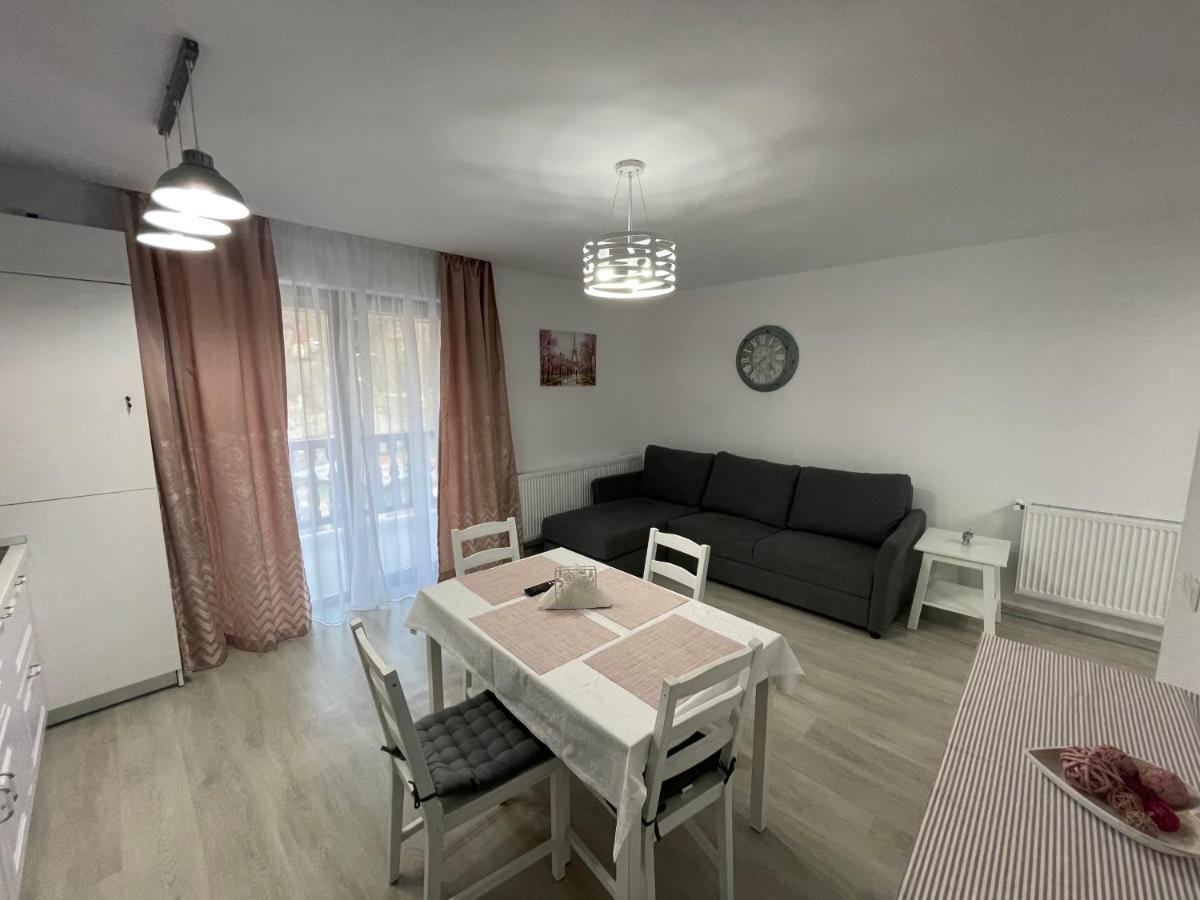 Castle Residence Apt. Eminescu Buşteni エクステリア 写真