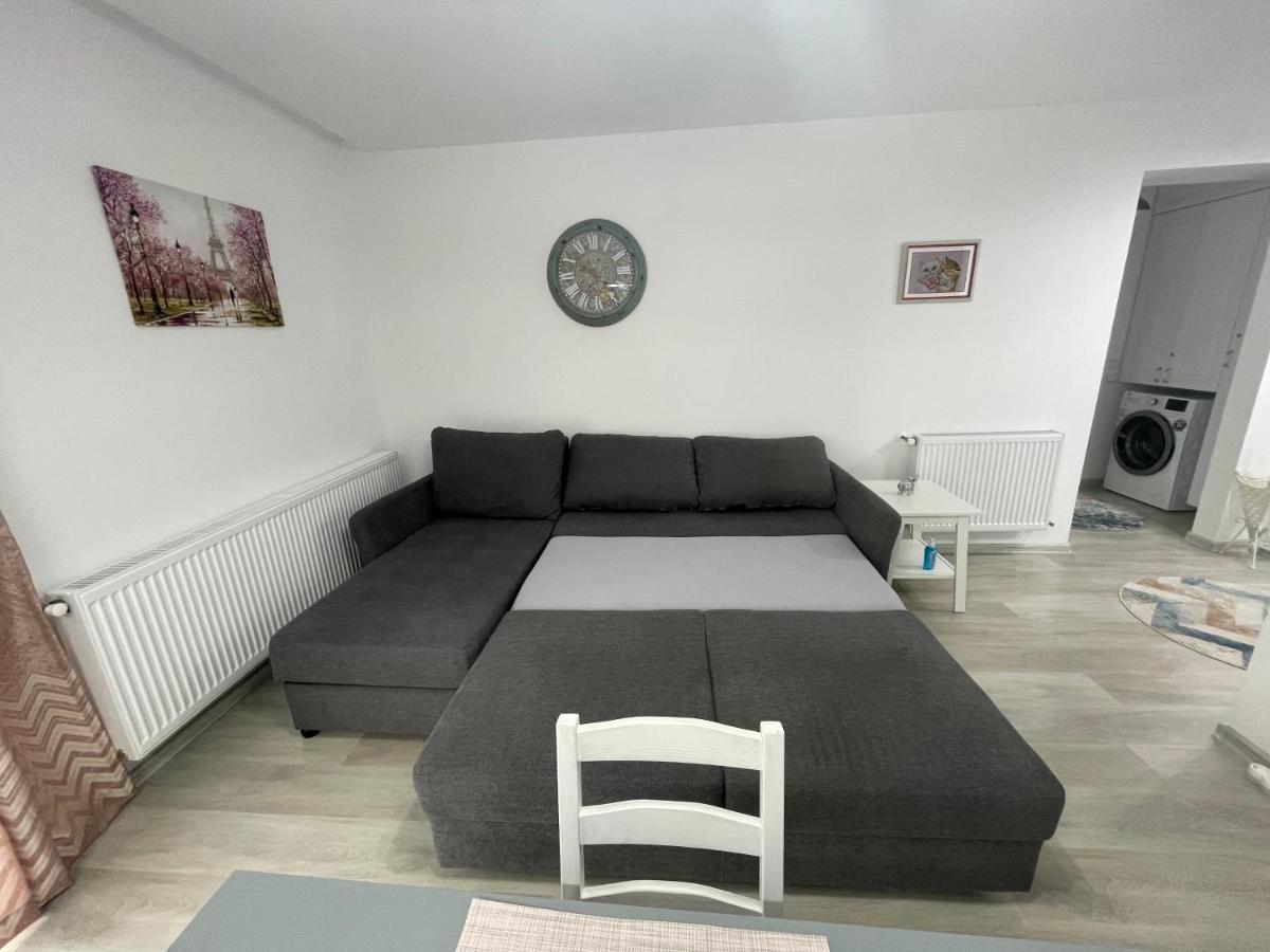 Castle Residence Apt. Eminescu Buşteni エクステリア 写真